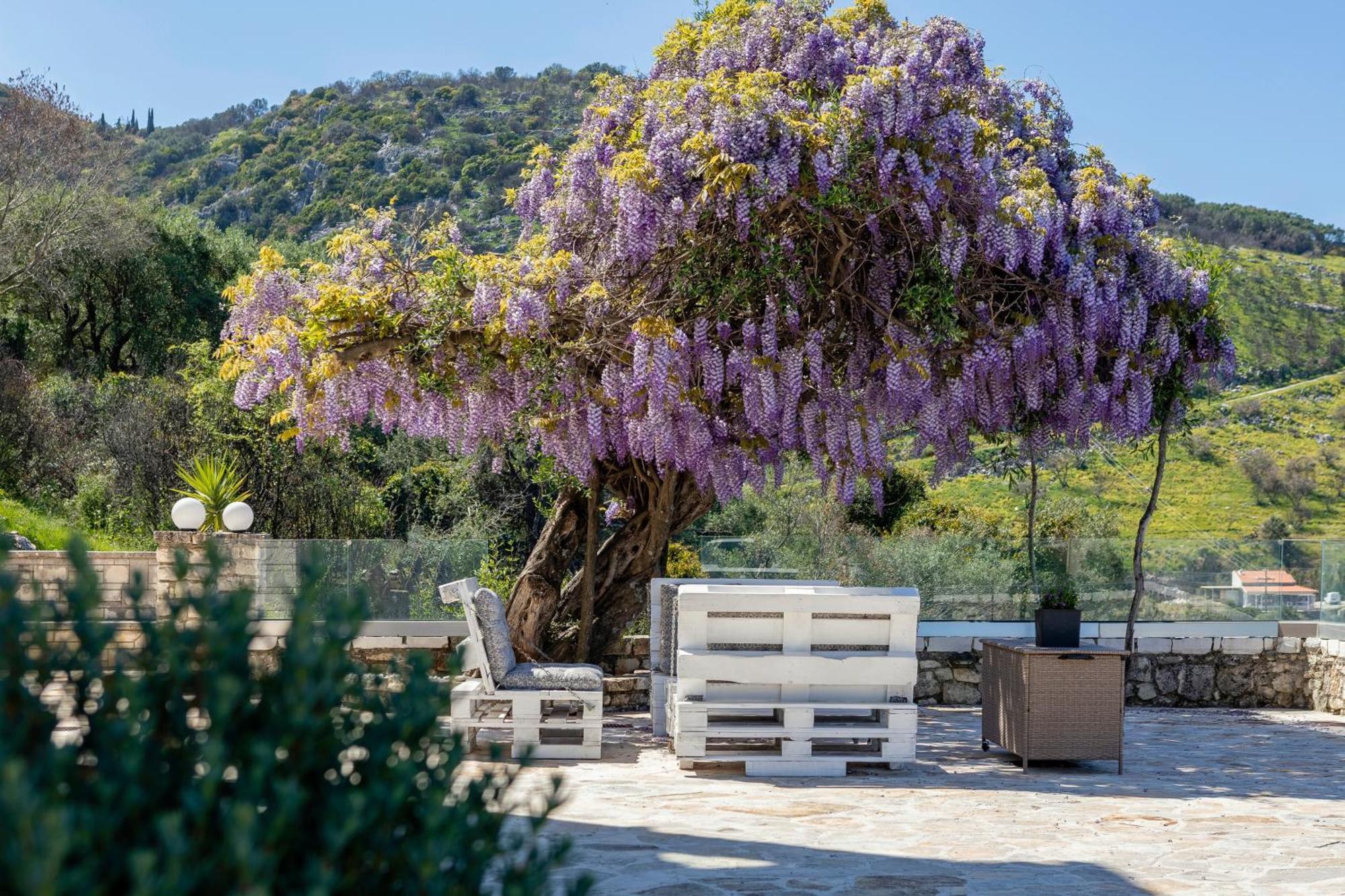 Apraos Alisachni Apartments מראה חיצוני תמונה